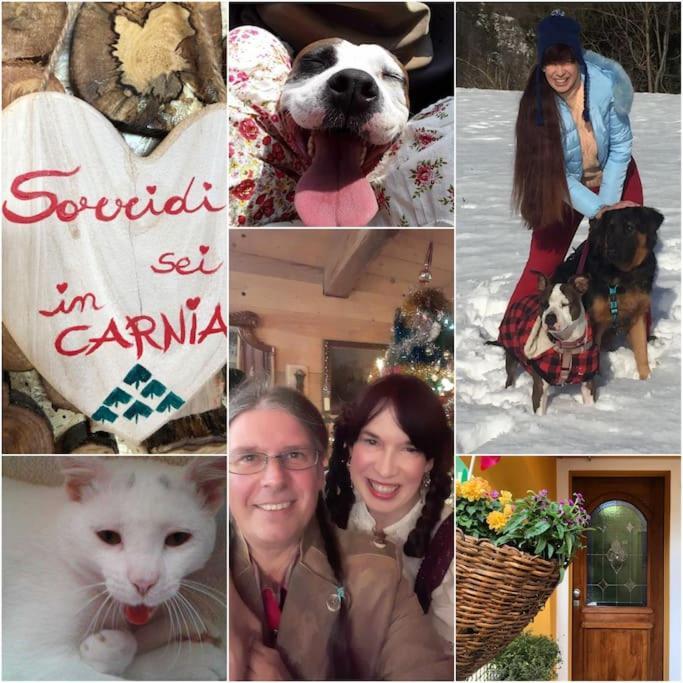 Holiday Guesthouse La Casina Di Butzi Pet Friendly - Terme Di Arta - Zoncolan 아르타 테르메 외부 사진