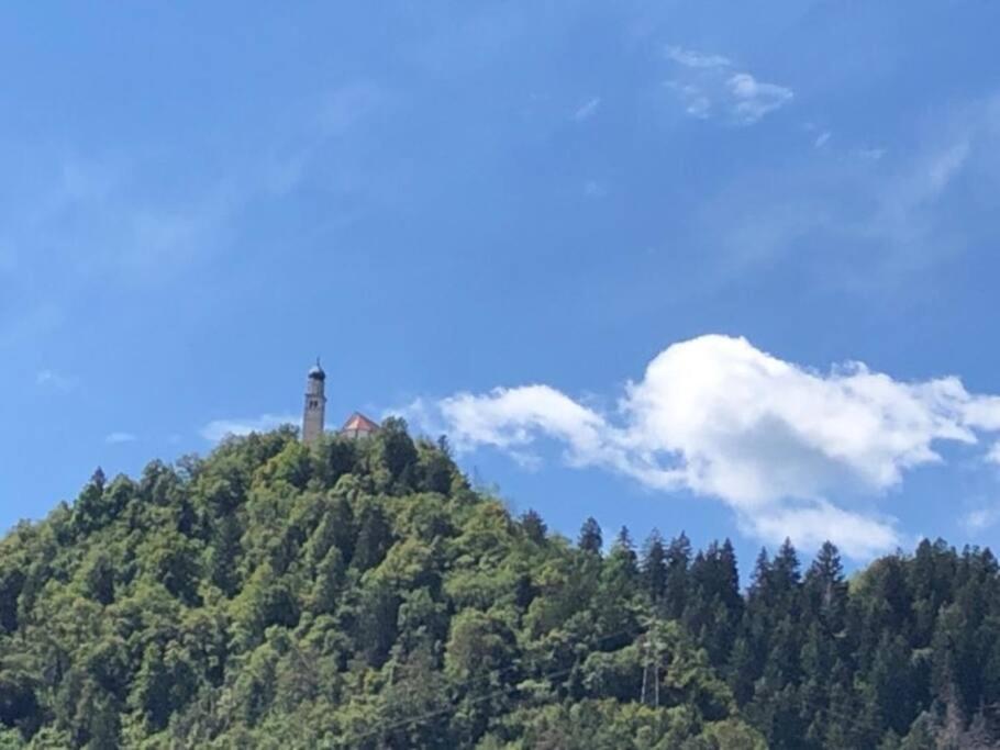 Holiday Guesthouse La Casina Di Butzi Pet Friendly - Terme Di Arta - Zoncolan 아르타 테르메 외부 사진