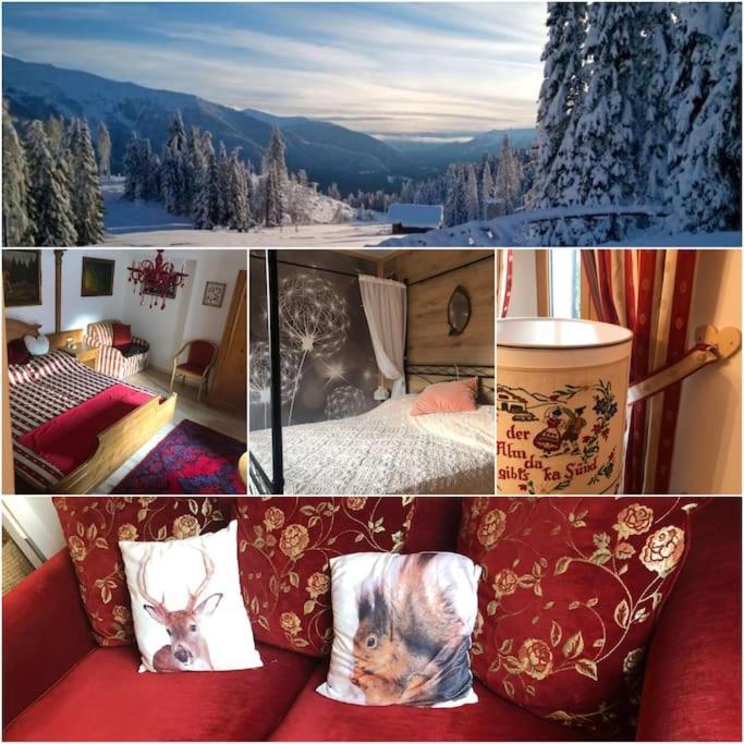 Holiday Guesthouse La Casina Di Butzi Pet Friendly - Terme Di Arta - Zoncolan 아르타 테르메 외부 사진