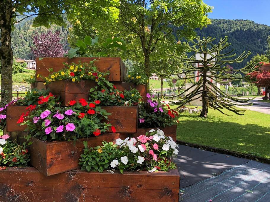 Holiday Guesthouse La Casina Di Butzi Pet Friendly - Terme Di Arta - Zoncolan 아르타 테르메 외부 사진
