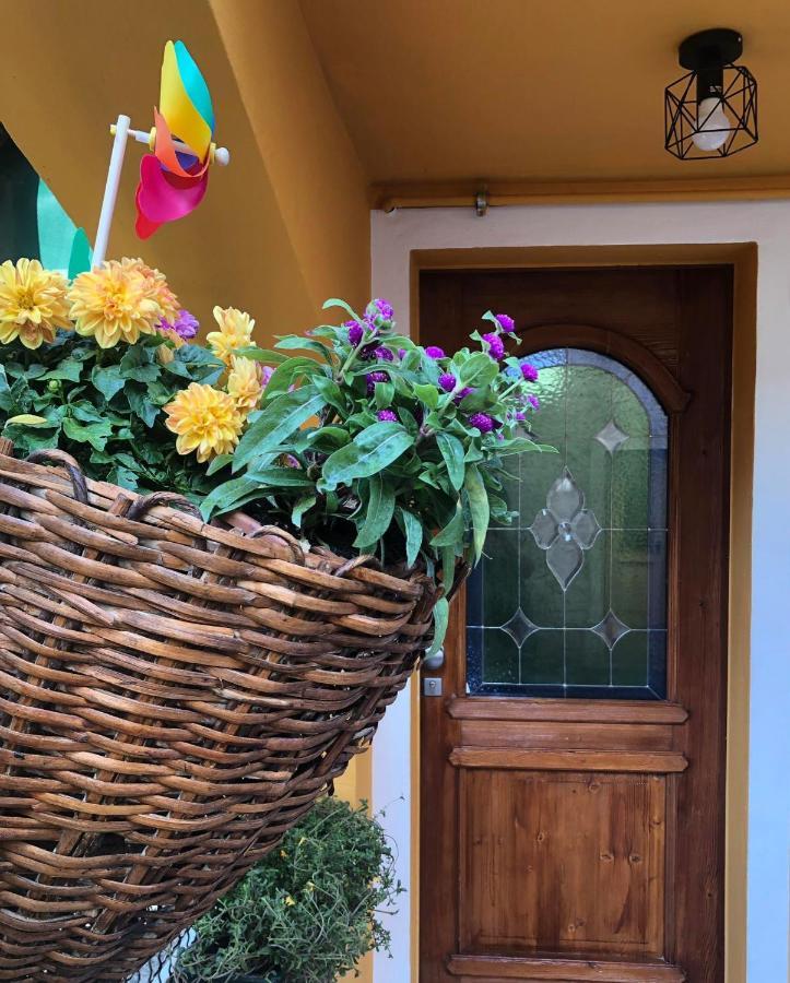 Holiday Guesthouse La Casina Di Butzi Pet Friendly - Terme Di Arta - Zoncolan 아르타 테르메 외부 사진