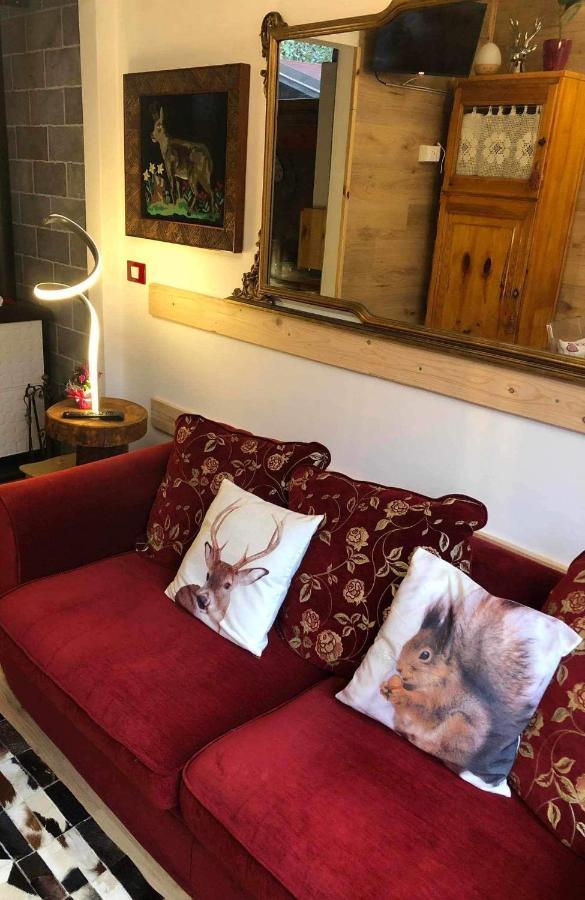 Holiday Guesthouse La Casina Di Butzi Pet Friendly - Terme Di Arta - Zoncolan 아르타 테르메 외부 사진