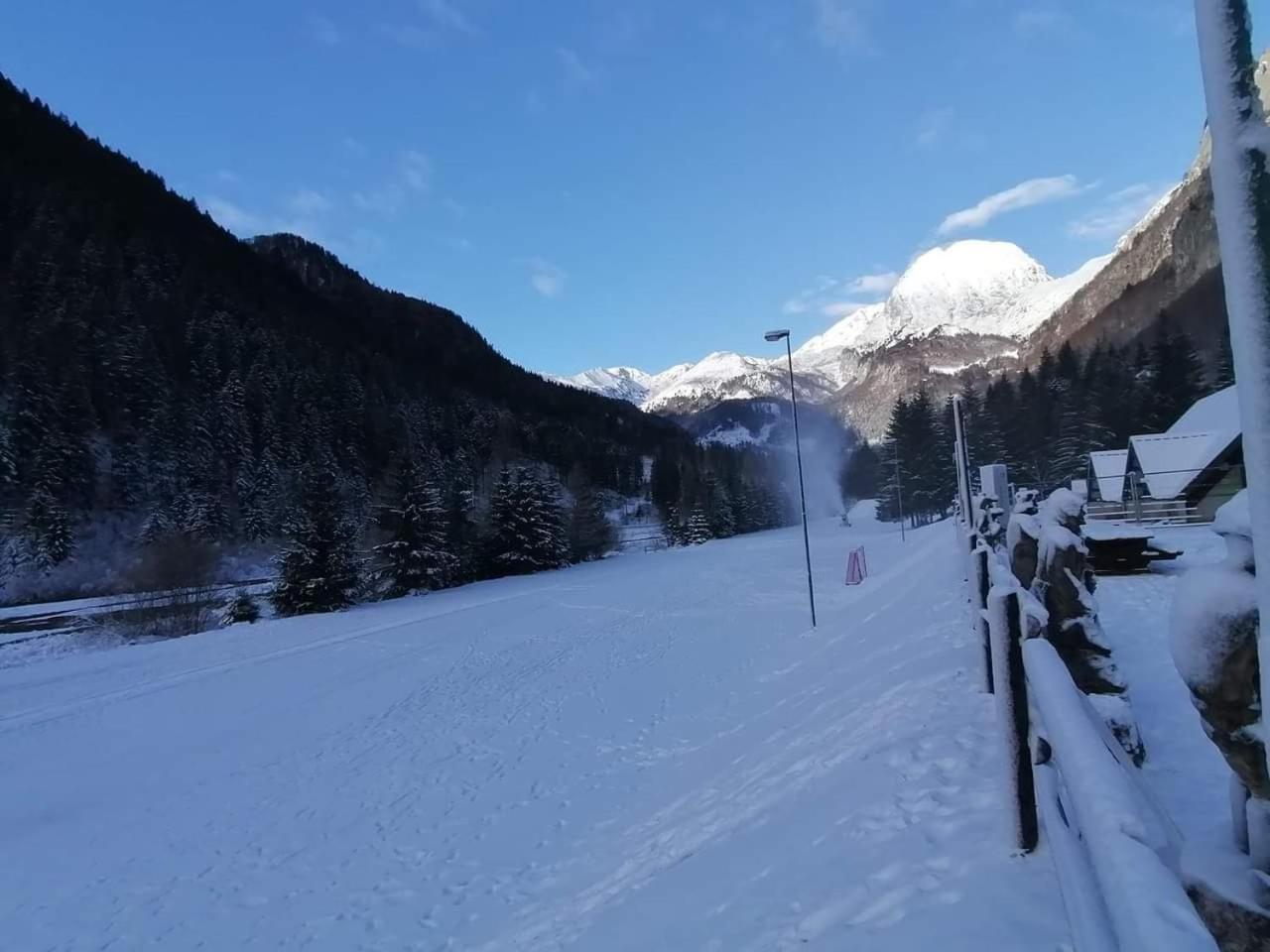 Holiday Guesthouse La Casina Di Butzi Pet Friendly - Terme Di Arta - Zoncolan 아르타 테르메 외부 사진