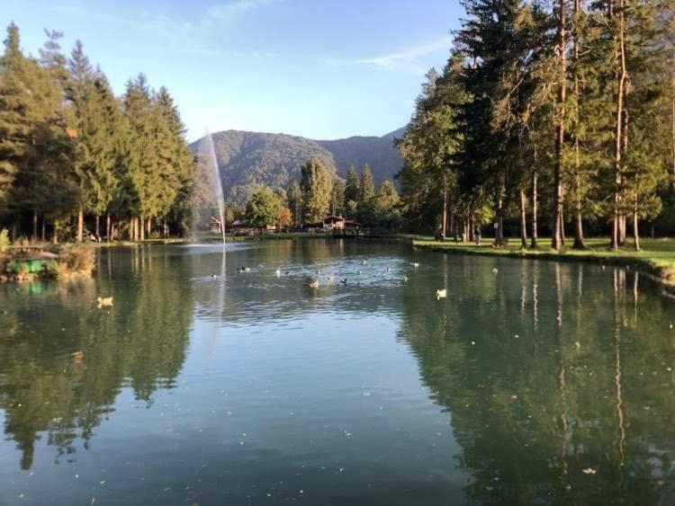 Holiday Guesthouse La Casina Di Butzi Pet Friendly - Terme Di Arta - Zoncolan 아르타 테르메 외부 사진